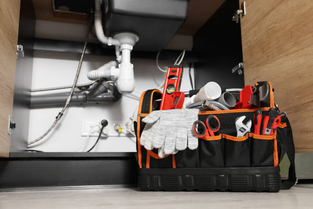 Best Water Leak Repair  in Carson City, MI