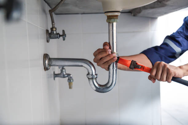 Best Commercial Plumbing Services  in Carson City, MI