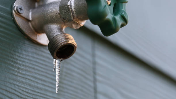 Best Local Plumber Services  in Carson City, MI