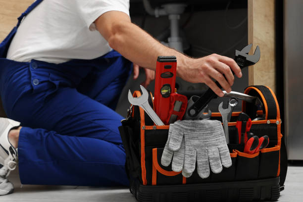 Best Sprinkler Systems  in Carson City, MI
