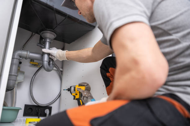 Best Leak Detection Services  in Carson City, MI